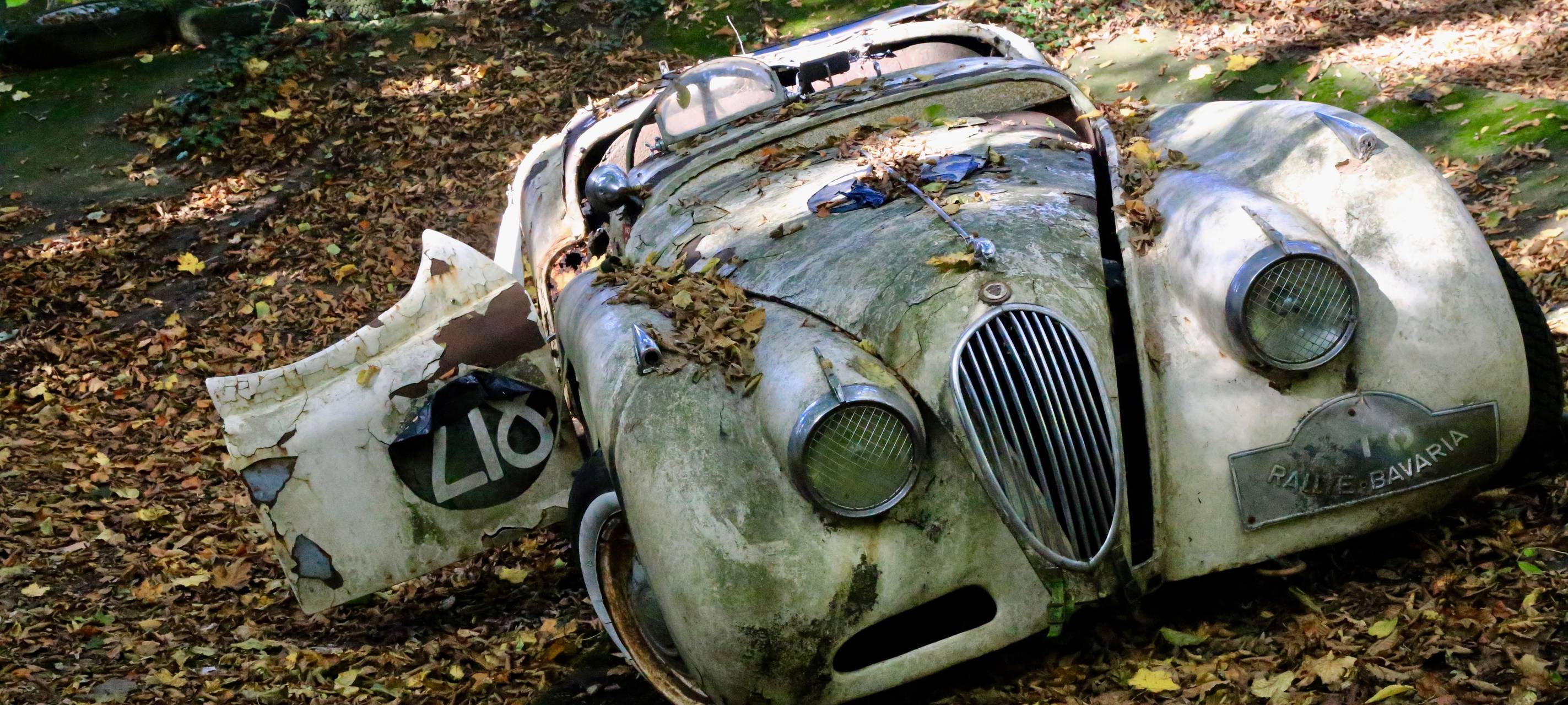 Alte Autos im Wald - der Autoskulpturenpark