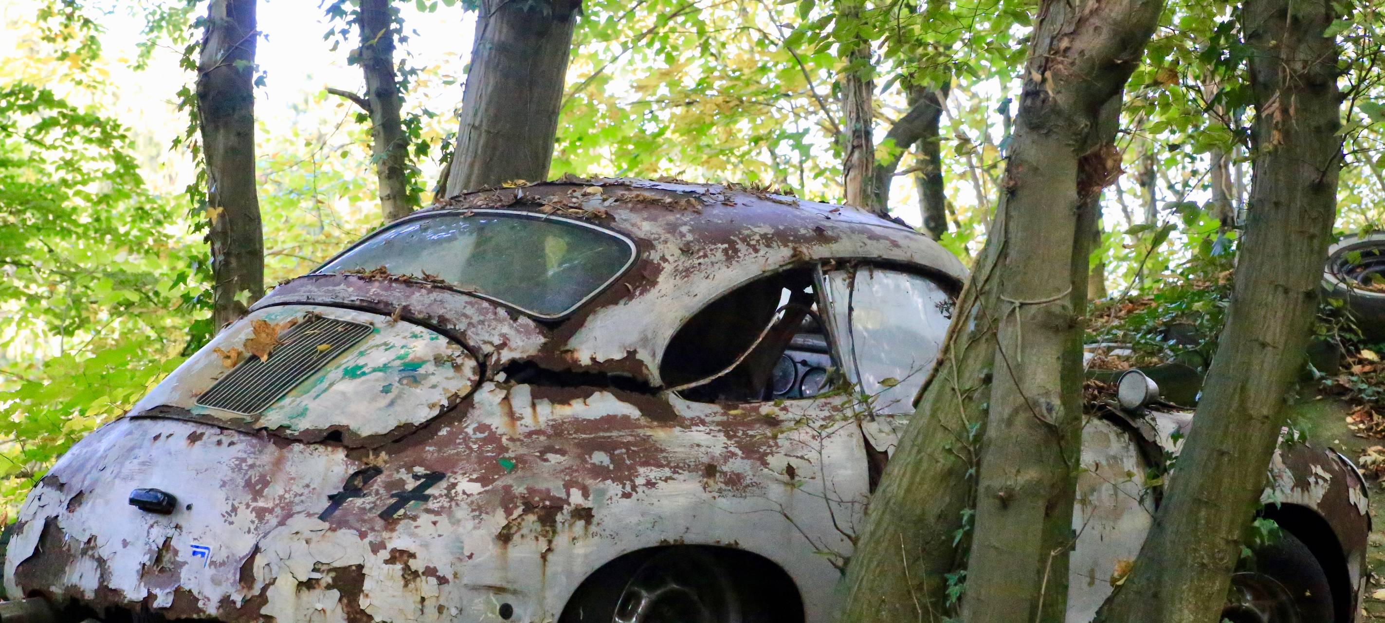 Alte Autos im Wald - der Autoskulpturenpark