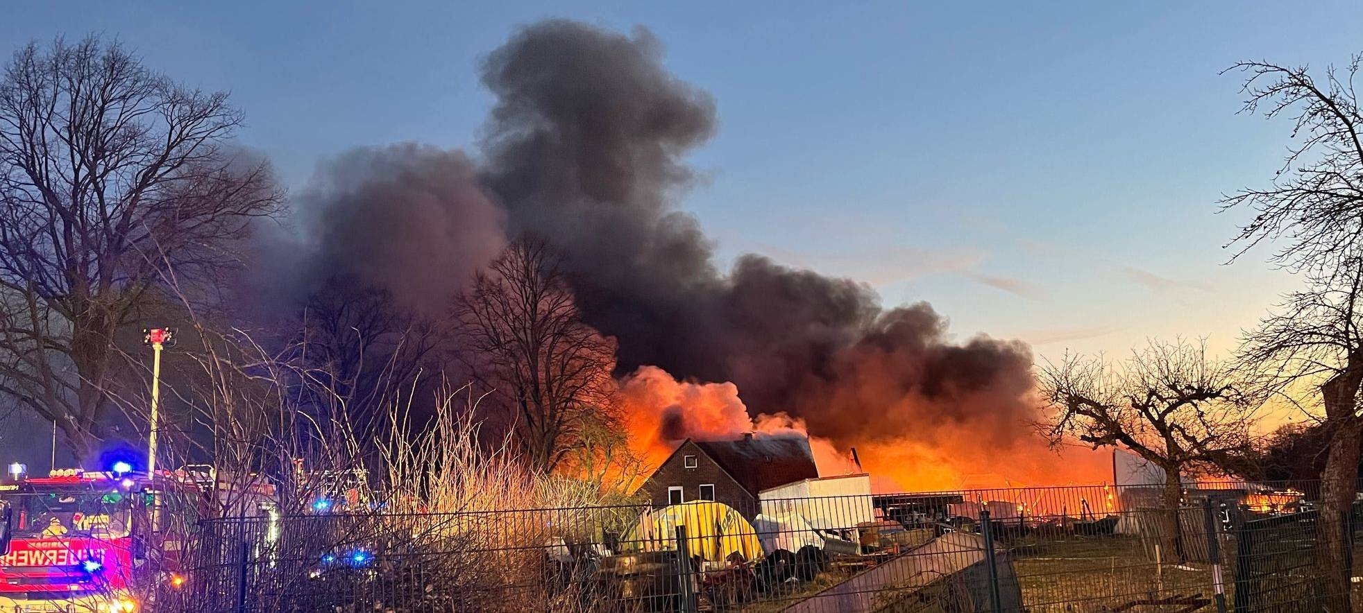 Unna: Pferde sterben bei Brand