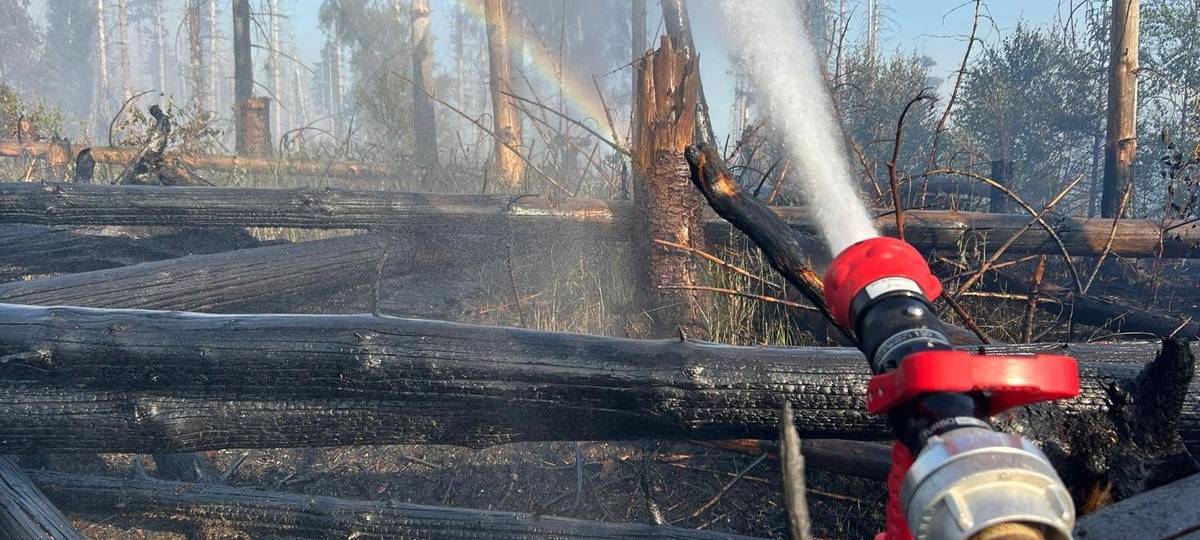 Bild vom Waldbrand am Möhnesee am 13.6.2025.