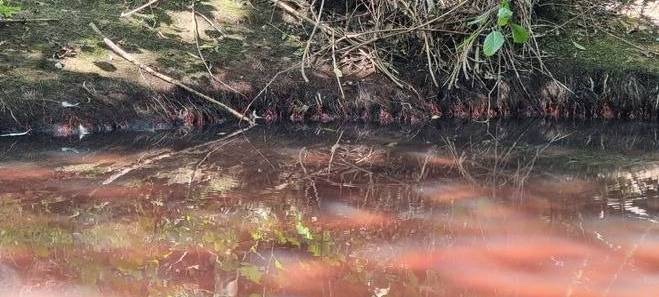 Werne: Gefundene Knochen gehören zu vermisstem 59-Jährigen