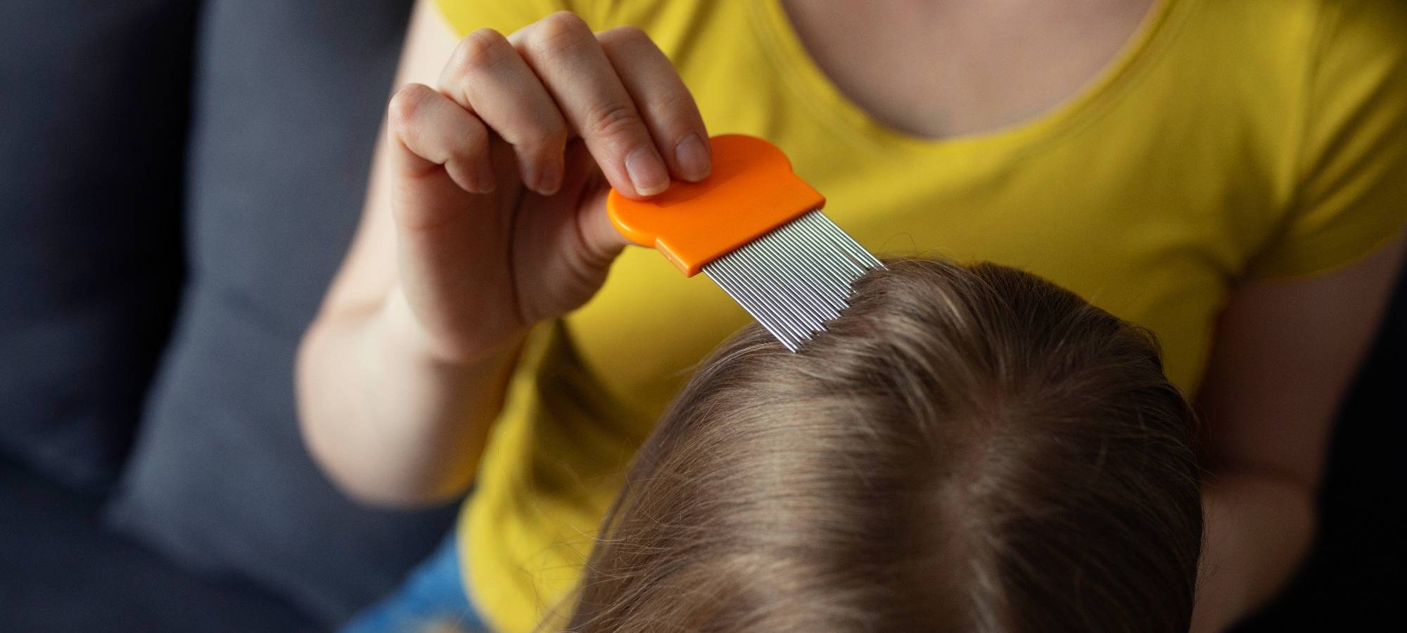 Symbolbild: Mutter sucht nach Läusen auf dem Kopf der Tochter.