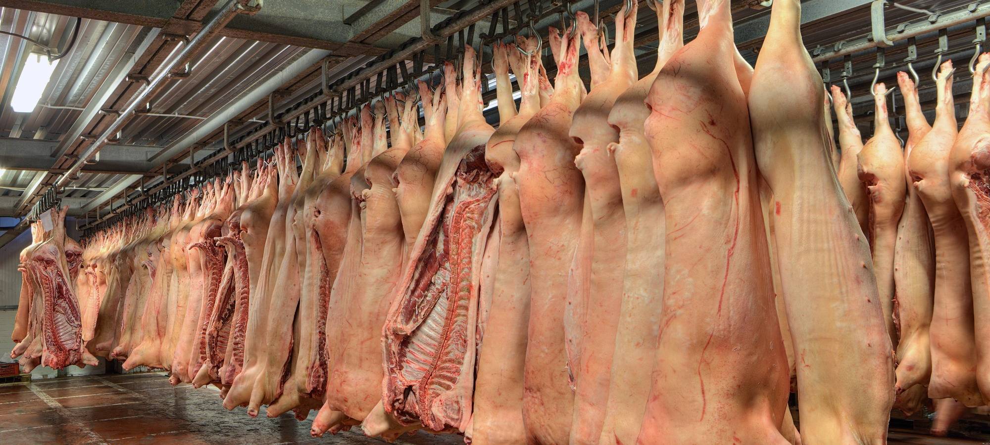 Symbolbild: Schlachthof