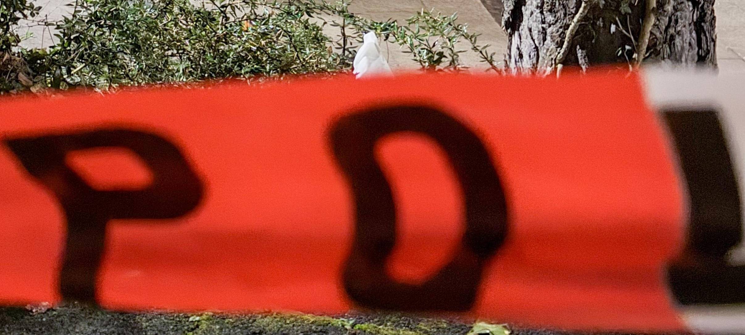 Symbolbild: Absperrung der Polizei