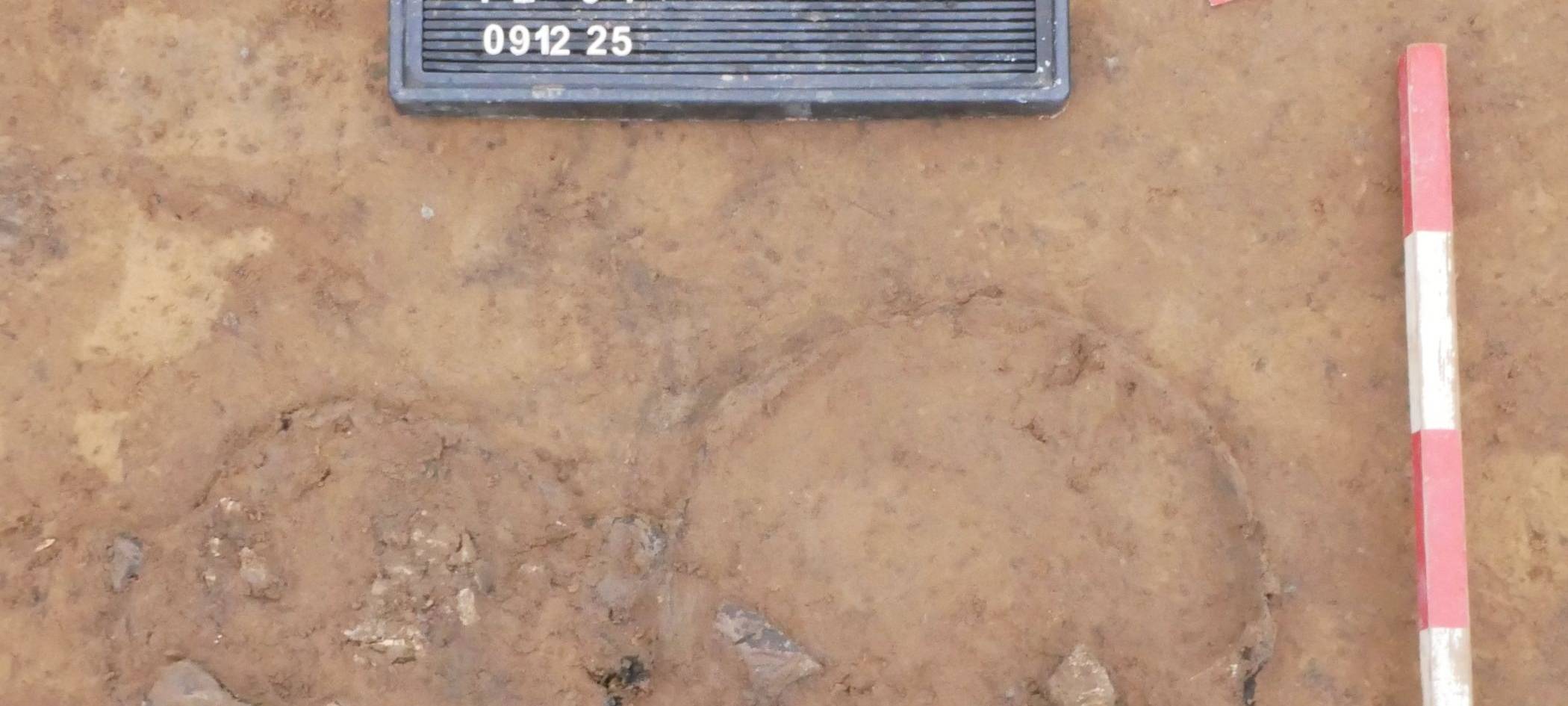 LWL-Ausgrabungen in Werne