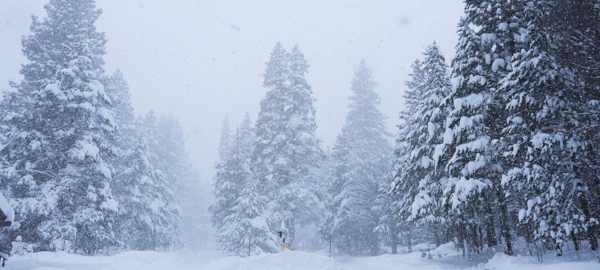 Schnee in Kalifornien