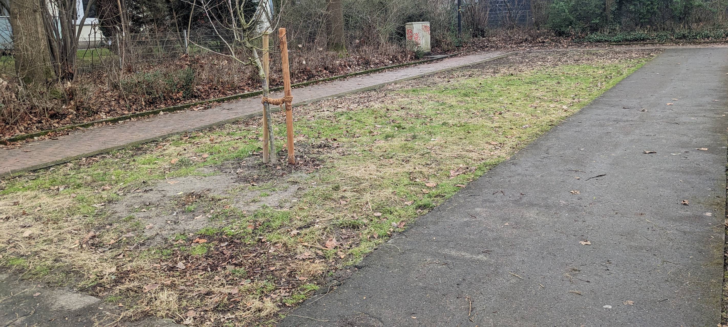 Frisch gemähte Wiesenflächen links und rechts vom NABU-Refugium