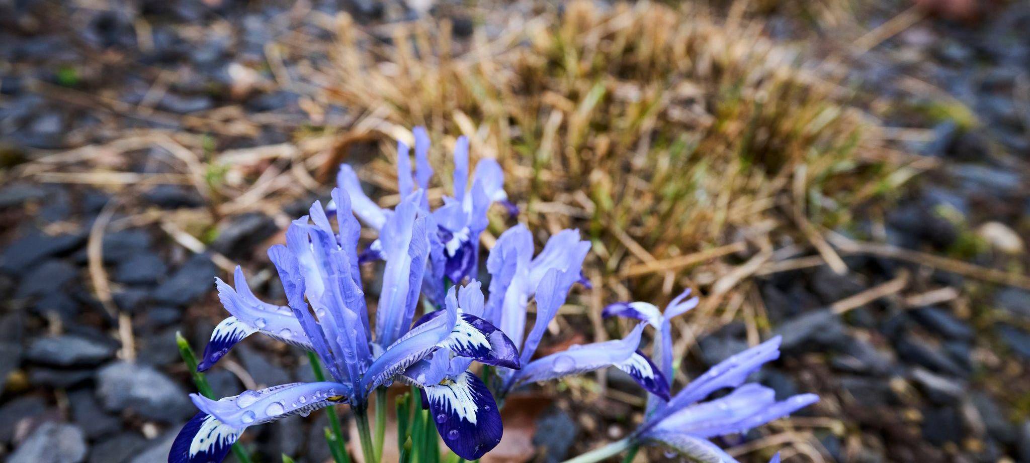 Wetter aus Rheinland-Pfalz