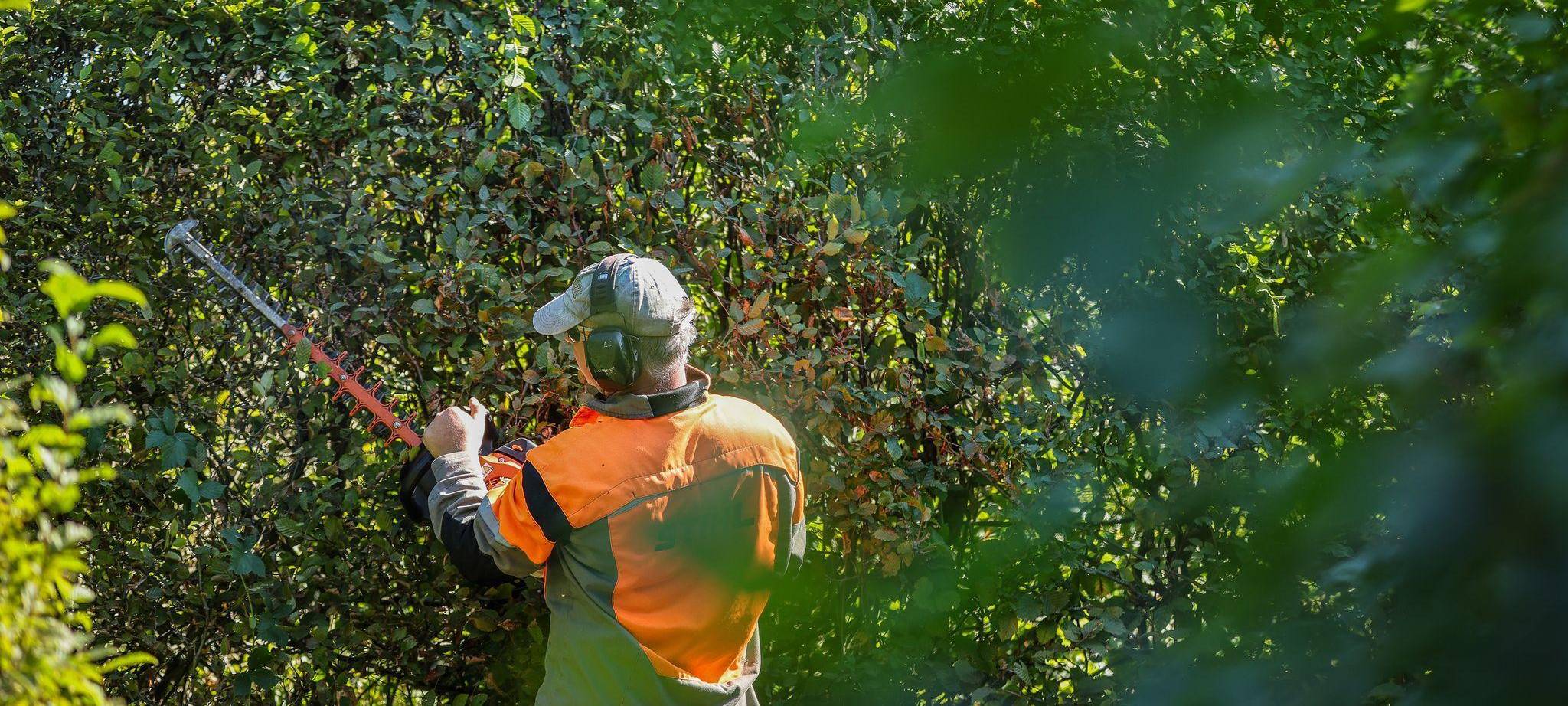Schufa, Wahlen, Sommerzeit – das ändert sich im März