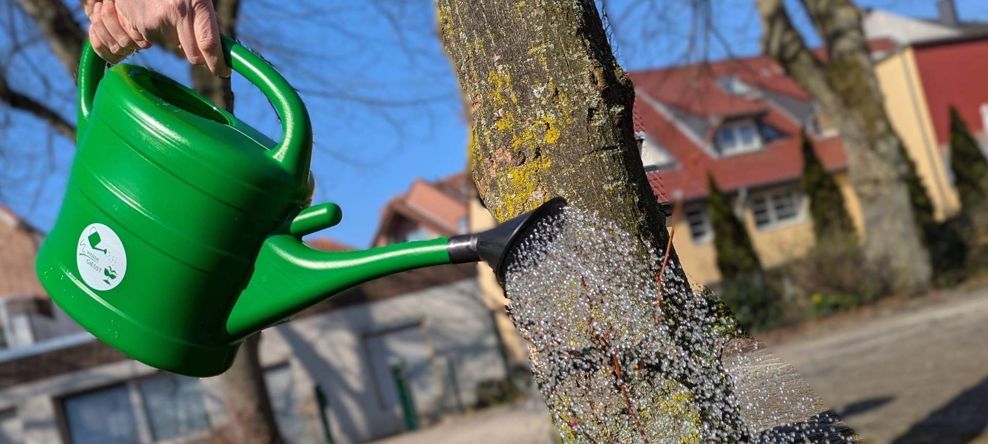 Bäume in Werne vor Trockenheit beschützen