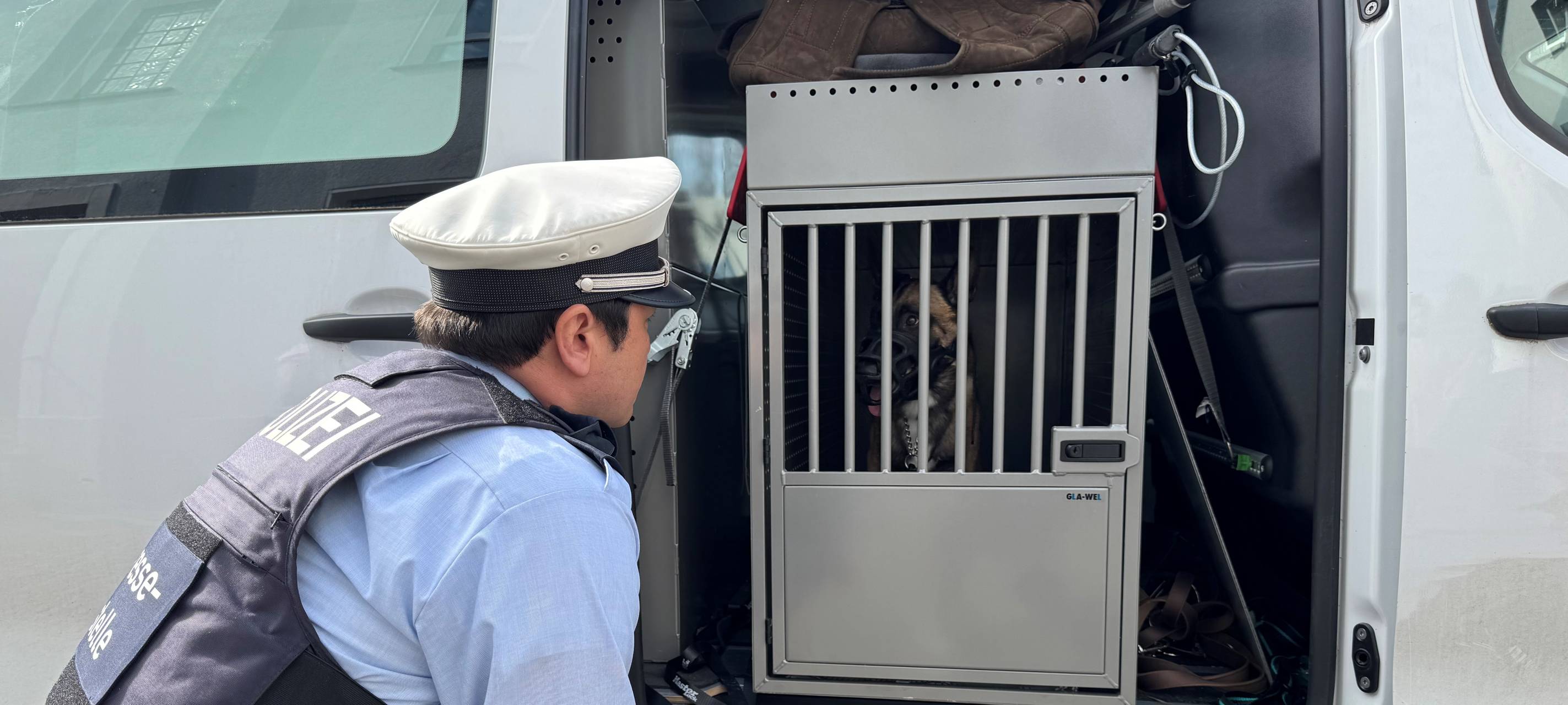 Hund in Dortmund misshandelt: Polizei greift nach viralem Video ein