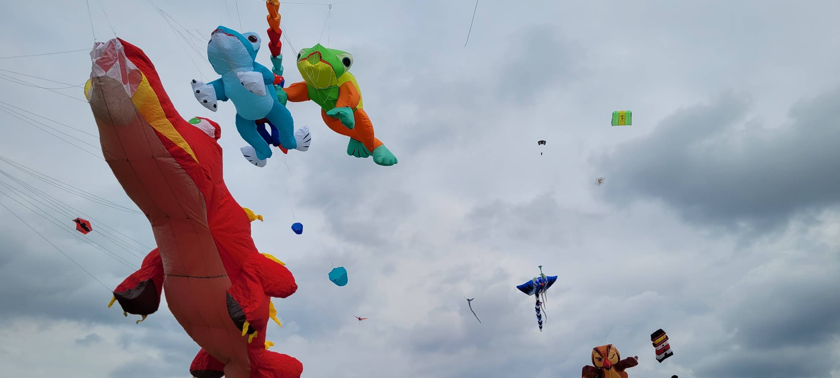 Viele unterschiedliche Drachen steigen beim internationalen Drachenfestival Kamen Kite unter anderem bei professionellen Drachenflugshows.