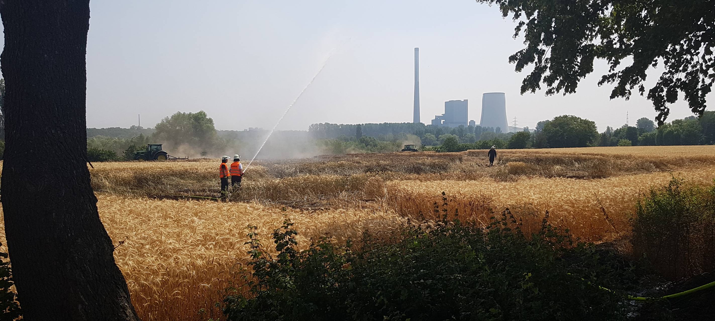 Felderbrände - Hitzefolgen