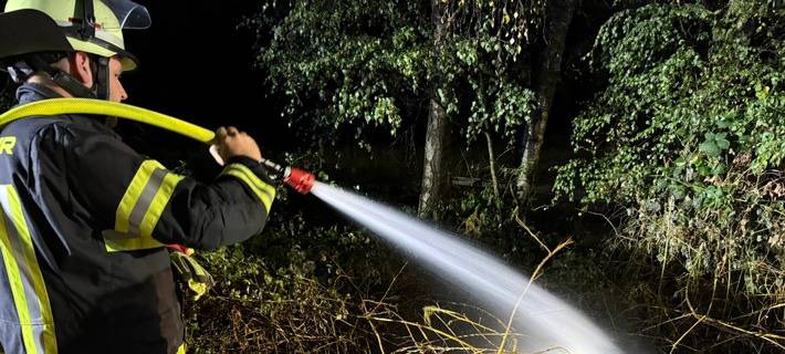 Vegetationsbrand in Werne-Holthausen.