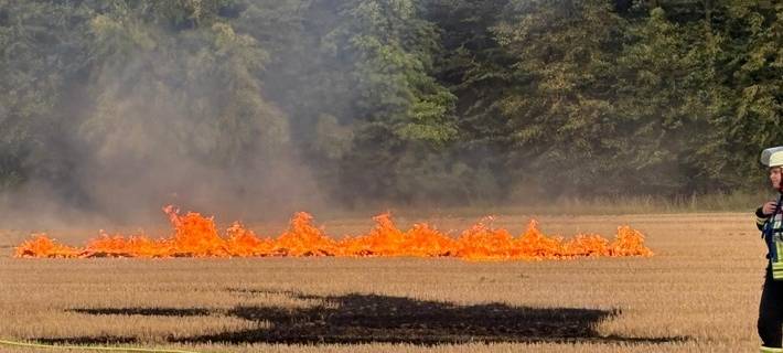 Freiwillige Feuerwehr Werne übt Vegetationsbrandbekämpfung