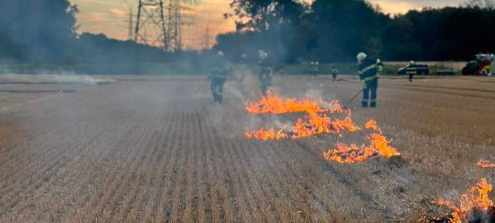 Freiwillige Feuerwehr Werne übt Vegetationsbrandbekämpfung