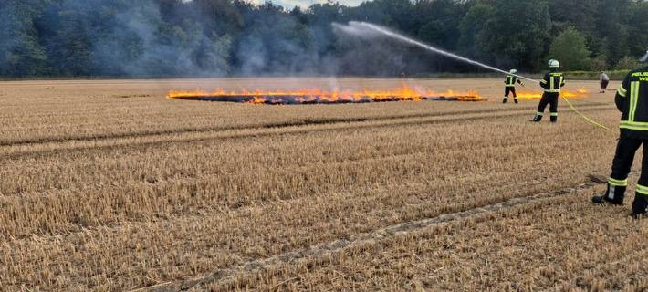 Freiwillige Feuerwehr Werne übt Vegetationsbrandbekämpfung