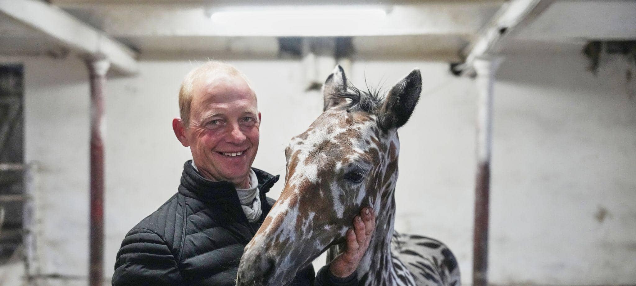 Ein zebrahaft geschecktes Fohlen