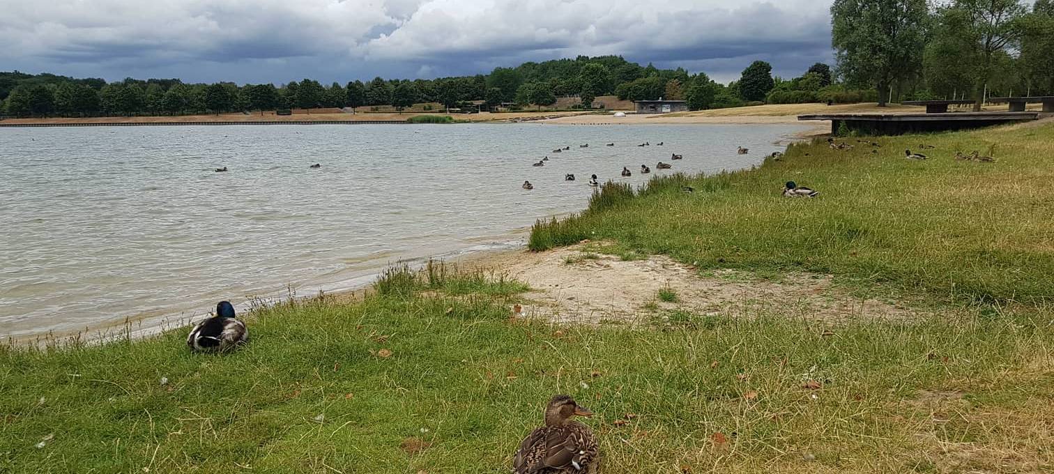 Wieder Zäune im Lüner Seepark