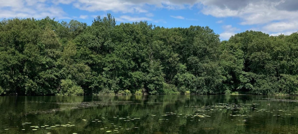 Beversee in Bergkamen