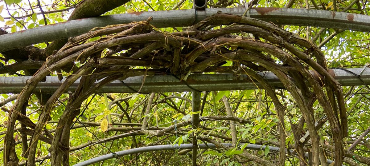Ausflugstipp: Das Dornhöfchen in Dortmund