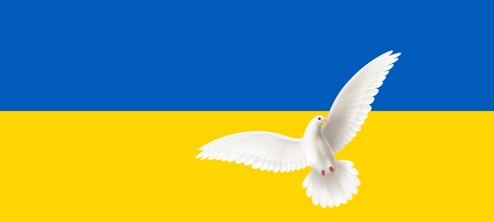 Heute Friedensdemo in Selm