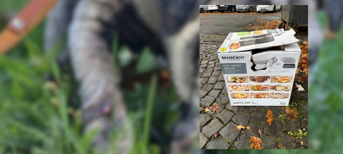 Kranker Hund in Selm ausgesetzt
